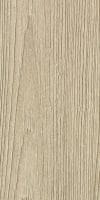241 sand elm V