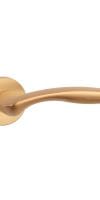 Matt gold
