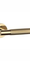 Gold PVD