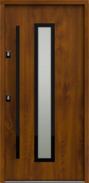 NS5B_HANOVER5B